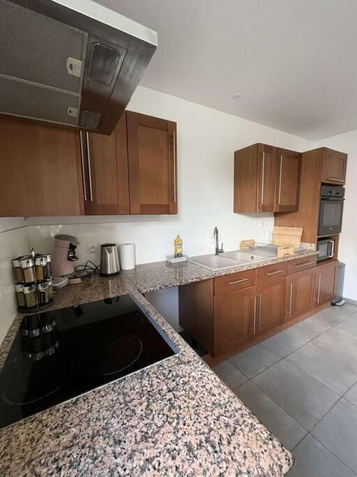 La Maison Dardenne Villeneuve-sur-Lot Bagian luar foto